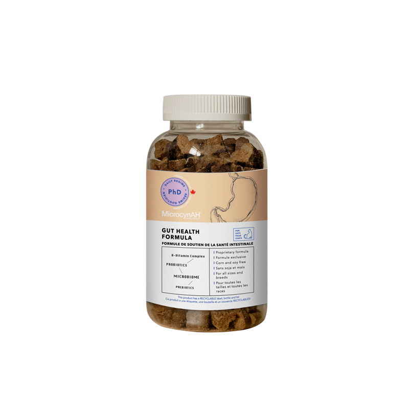 Gut Health Formula (Feline)
