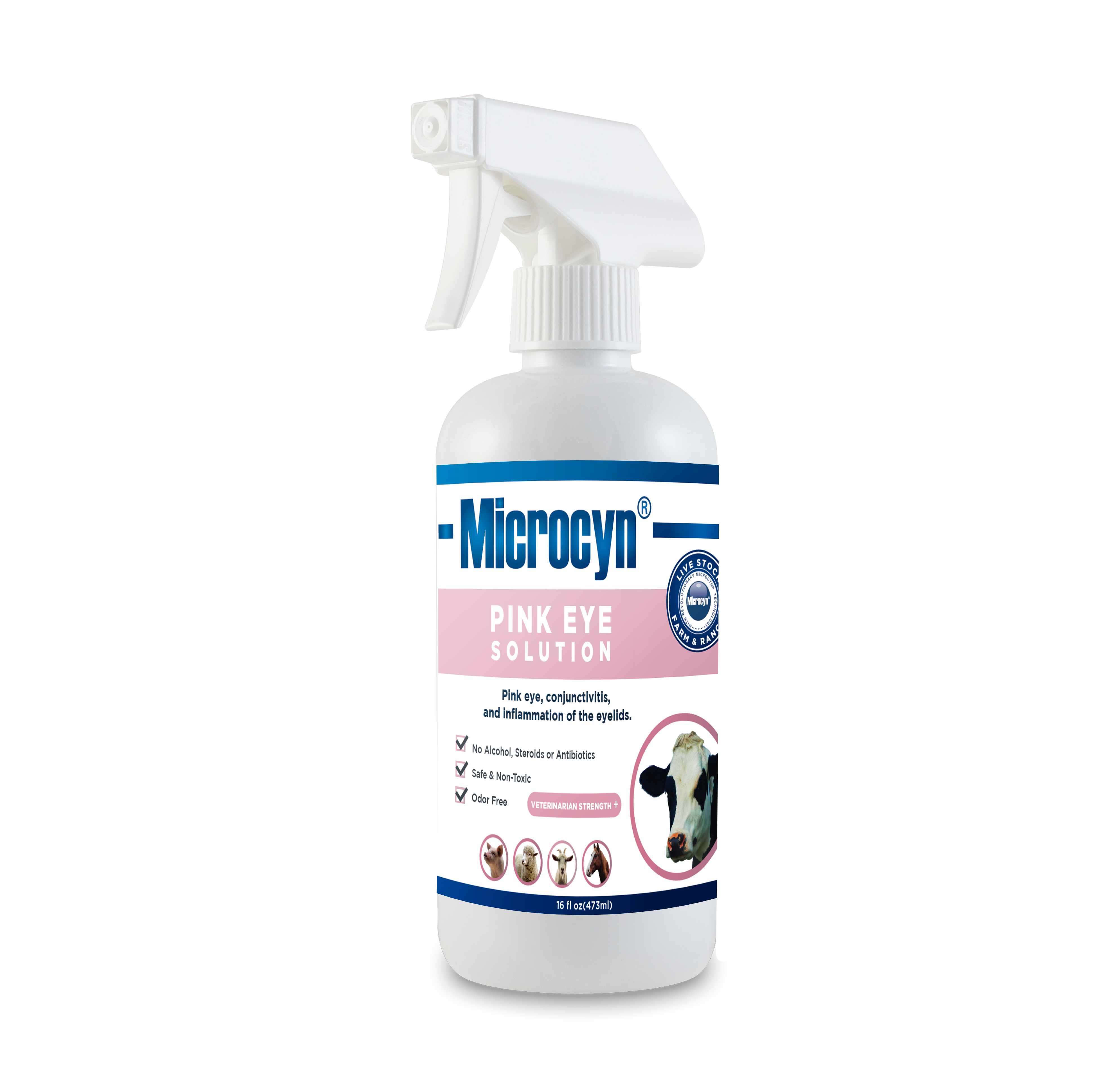 PINK EYE SOLUTION – MicrocynAH® PhD Daily Regime