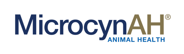 MicrocynAH® PhD Daily Regime