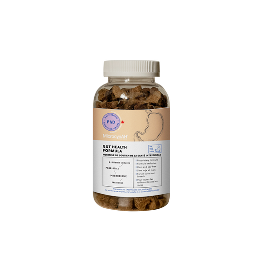 Gut Health Formula (Feline)