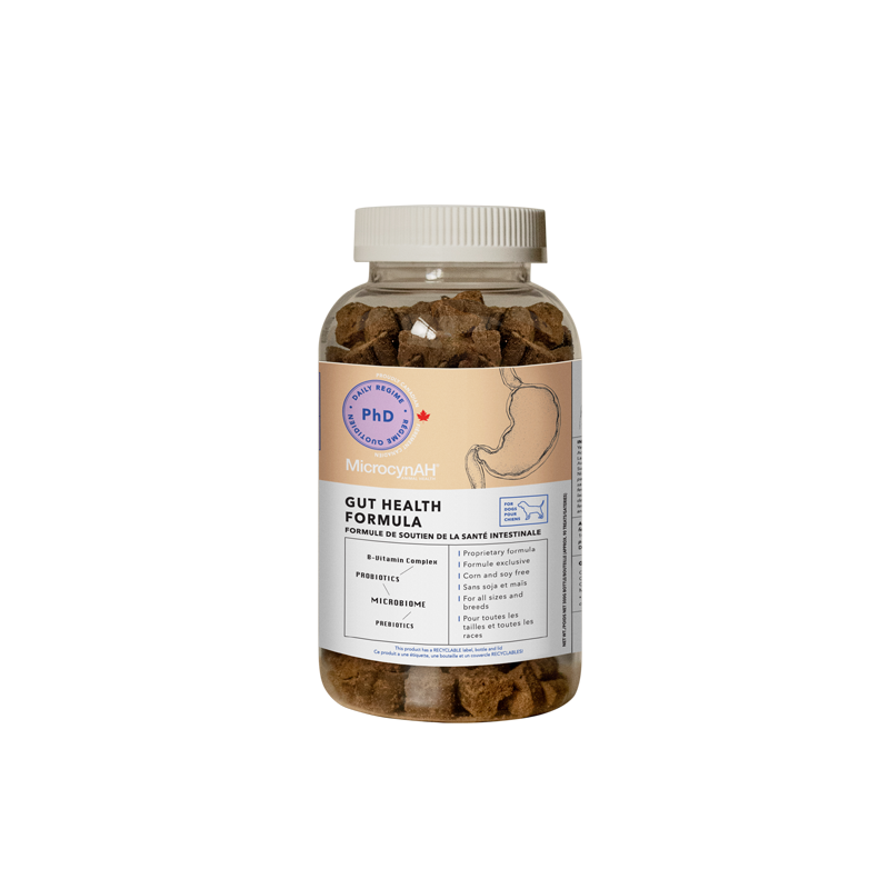 Gut Health Formula (Canine)