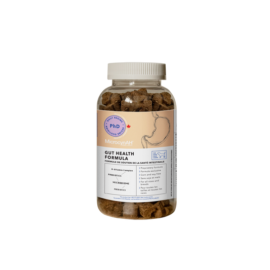 Gut Health Formula (Canine)