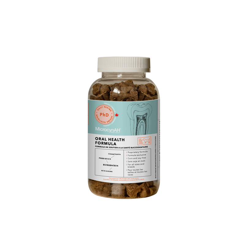 Oral Health Formula (Canine)